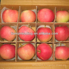Shandong Apfel